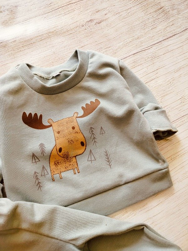 Producto - ARTICULO 810 - MINI CONJUNTOS  DE JOGGING RUSTICO ESTAMPA MINIALCE