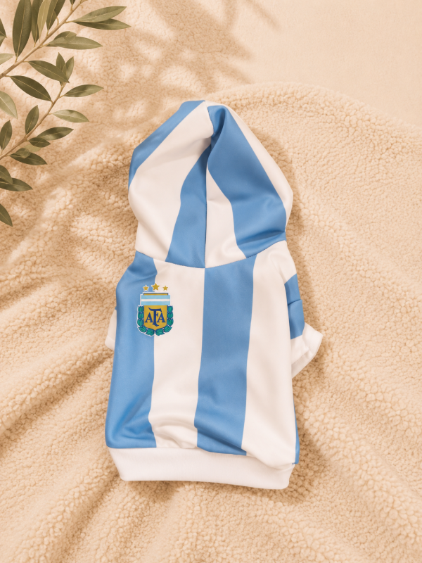 Producto - Buzo Campeones