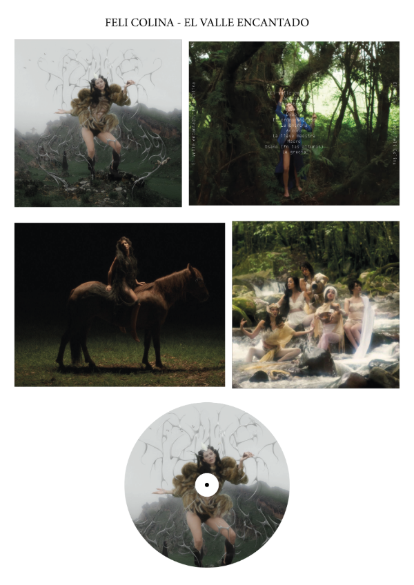 Producto - Feli Colina "El Valle Encantado" CD Custom
