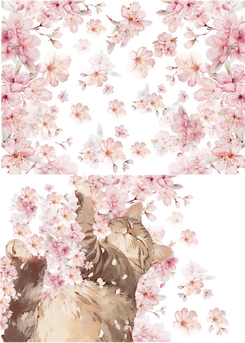 Producto - CATCUTE 1C