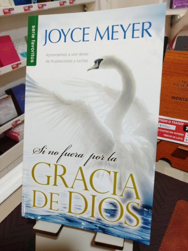 Producto - SI NO FUERA POR LA GRACIA DE DIOS JOYCE MEYER