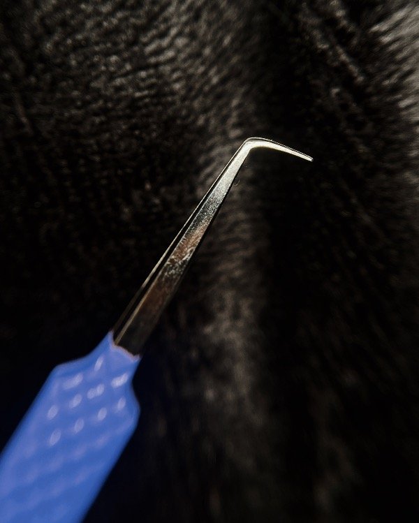 Producto - Pinza Precisión Pestañas tecnologícas