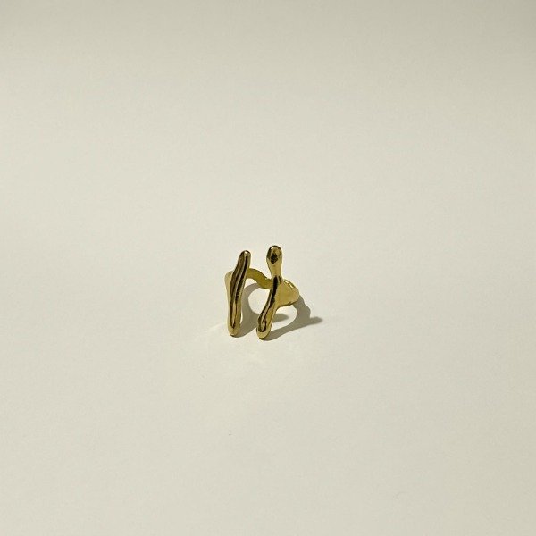 Producto - Anillo Pettoruti- Bronce