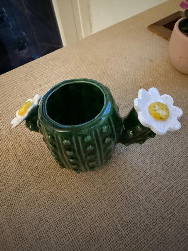 Producto - Maceta cactus flor