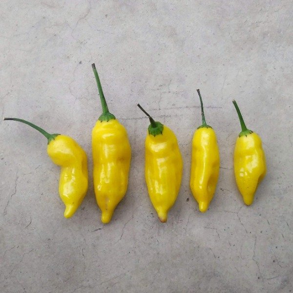 Producto - Ají Ananá (Pineapple chili)