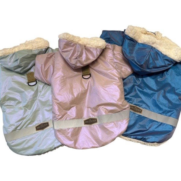 Producto - Campera/Piloto Hollister