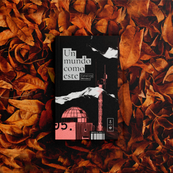 Producto - Un mundo como este - Catalina Mendez