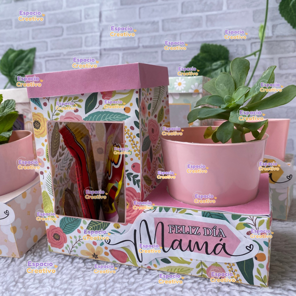 Producto - Porta macetas y golosinas