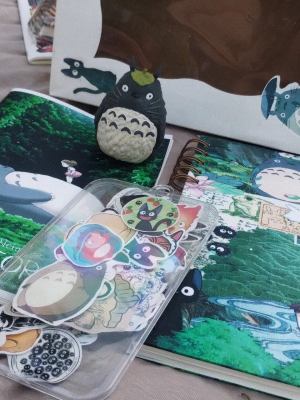 Producto - Box Totoro - 2