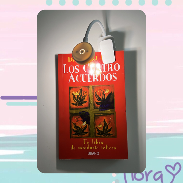 Producto - Nuevas Lámparas de Lectura - 1