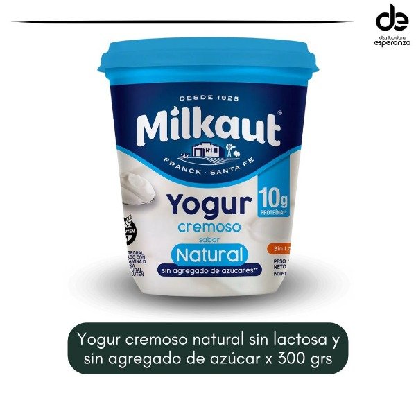 Producto - Yogur natural sin azúcar sin lactosa x 300 grs