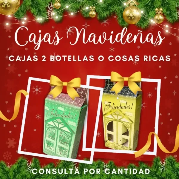 Producto - CAJA - ESTUCHE PARA 2 BOTELLAS PACK X10 - Cartón Reforzado - 3