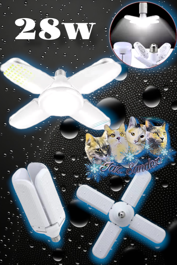 Producto - FOCO 4 ASPAS