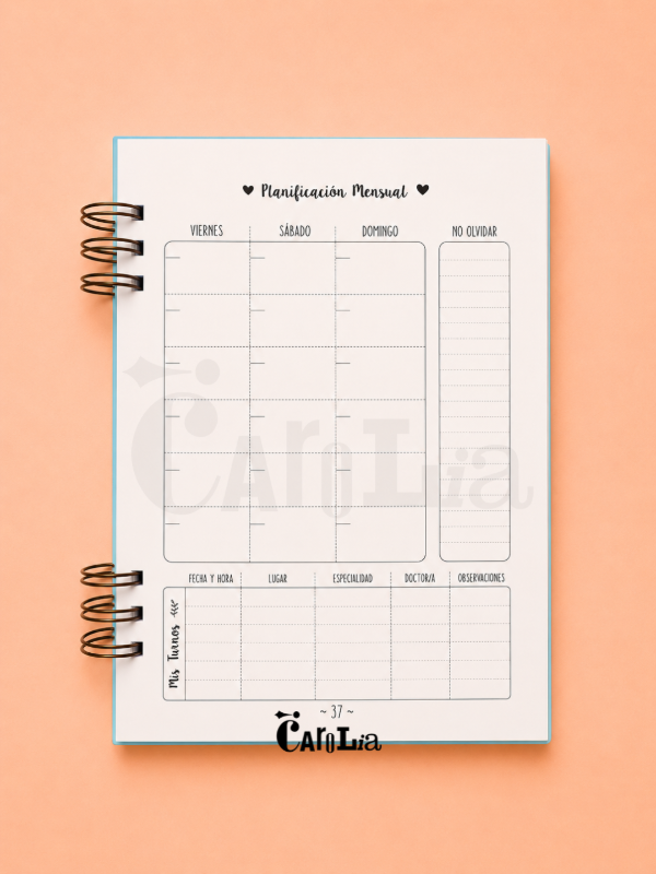Producto - Diario de Embarazo - 6