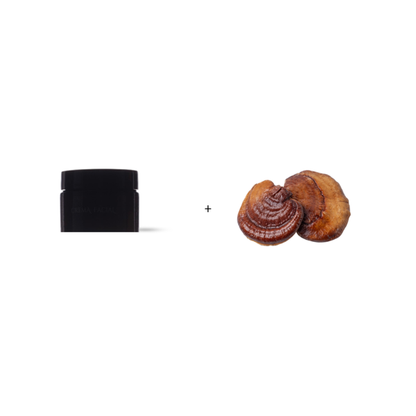 Producto - MASCARILLA DETOX  + HONGO REISHI