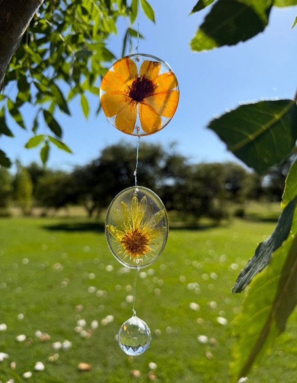 Producto - Atrapasol cosmos