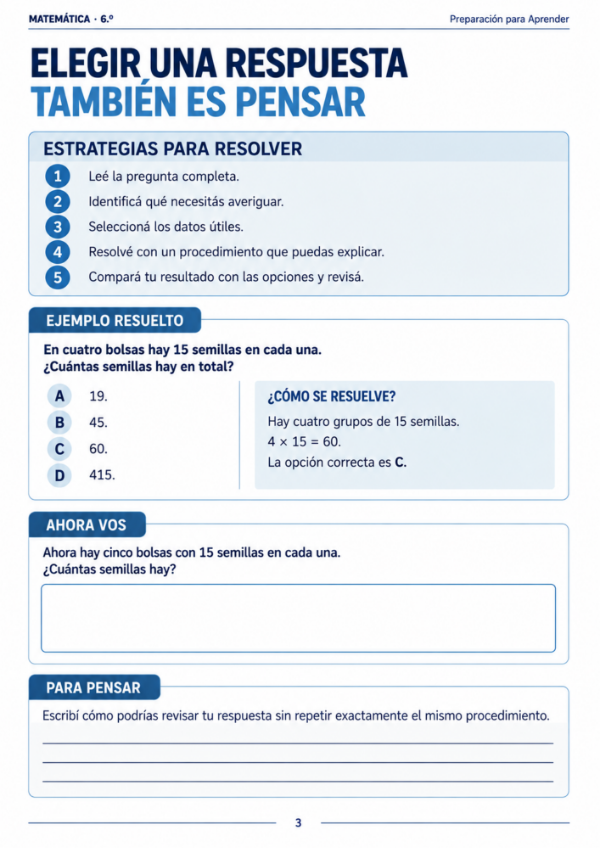 Producto - Matemática 6to grado: Preparación Prueba Aprender - 2
