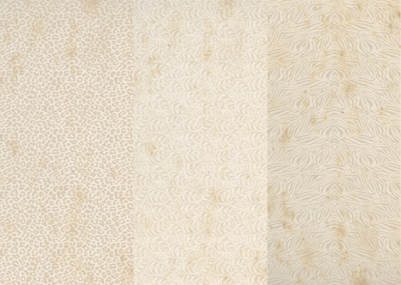 Producto - SAVANNA 3