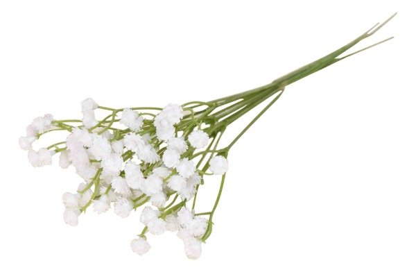 Producto - Ramo suspiro