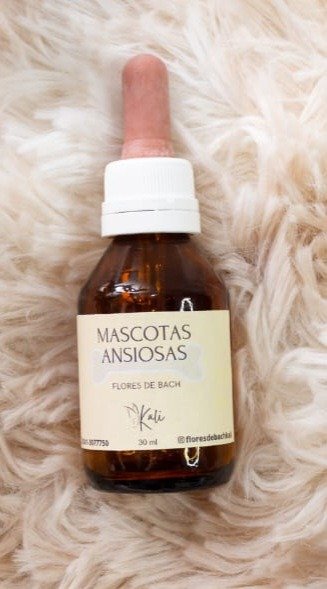 Producto - MASCOTAS ANSIOSAS