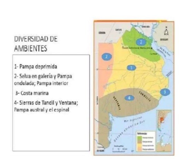 Producto - SERES VIVOS PROVINCIA DE BUENOS AIRES - 2