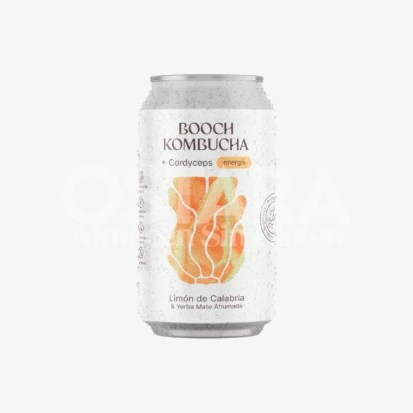 Producto - Kombucha Booch - 2