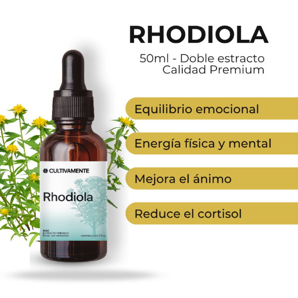 Producto - RHODIOLA