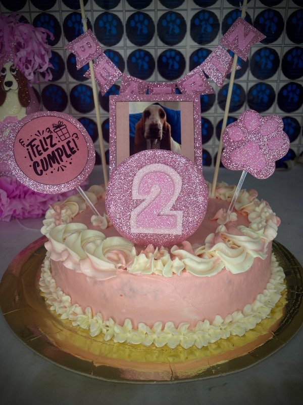 Producto - Torta 16 Cm Reina Alexandra