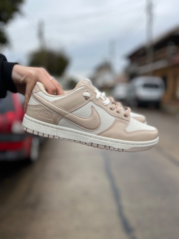Producto - SB DUNK X NORTH FACE PINK