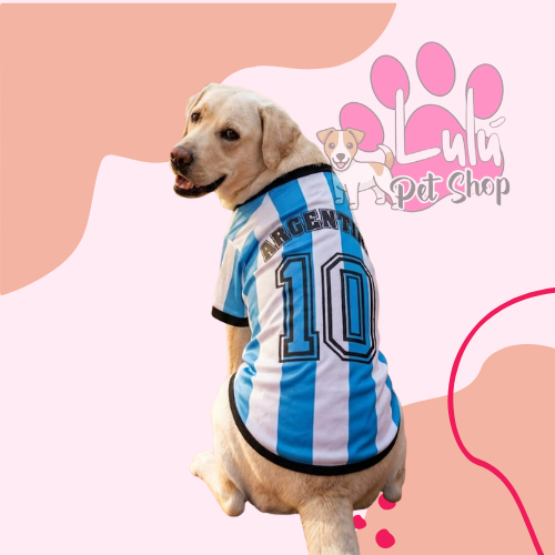 Producto - CAMISETAS ARGENTINA T7-T10
