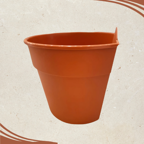 Producto - CLASICA DE PARED NRO 22