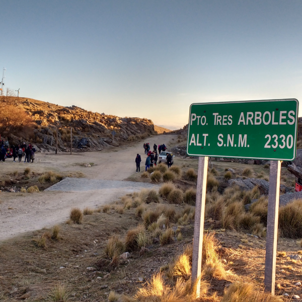 Miniatura de producto - 8