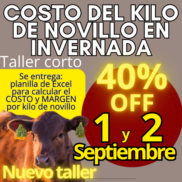 Producto - Taller corto: cálculo del costo del kilo de novillo - 0