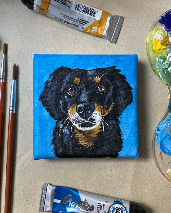 Producto - Retrato de mascota sobre bastidor - 0