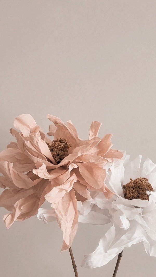 Producto - Flor Dahlia