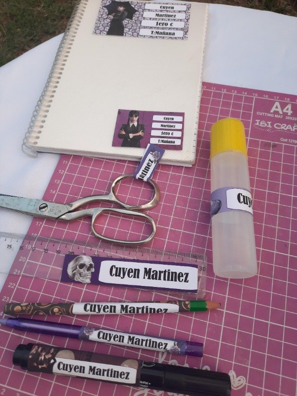 Producto - Combo Carátulas Escolares personalizadas