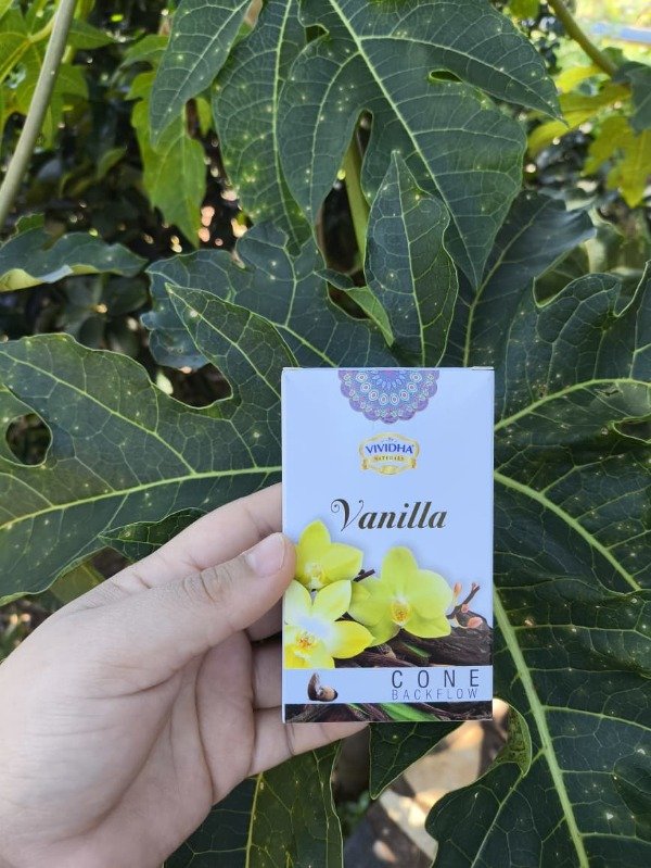 Producto - Conos VANILLA