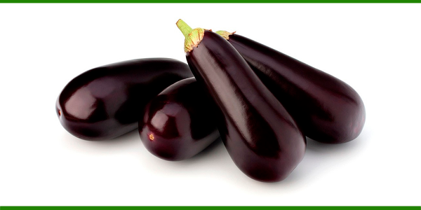 Producto - BERENJENAS ORGÁNICAS