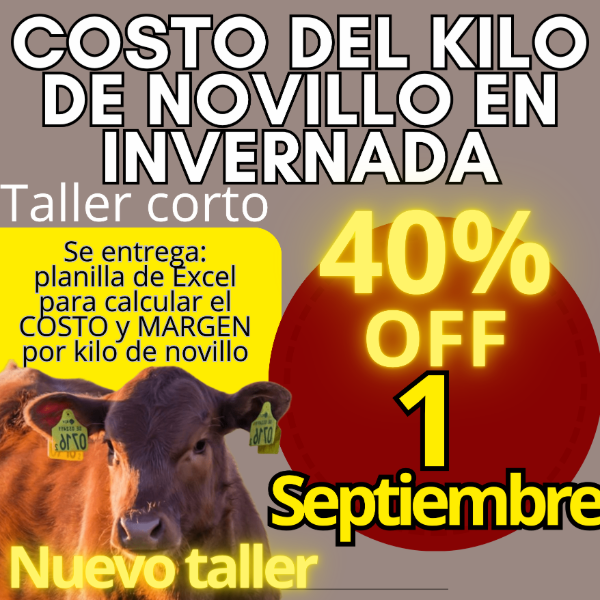 Producto - Taller corto: cálculo del costo del kilo de novillo - 0