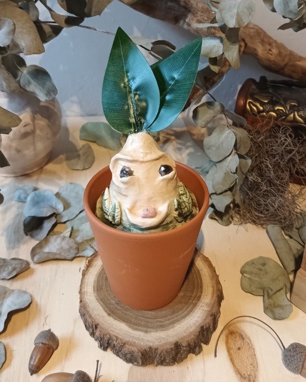 Producto - Mandrágora IV