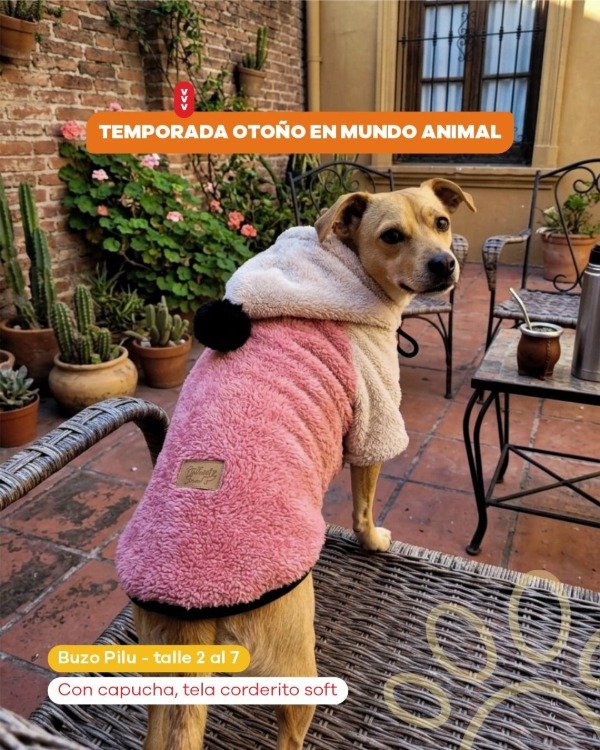 Producto - Buzo pilu