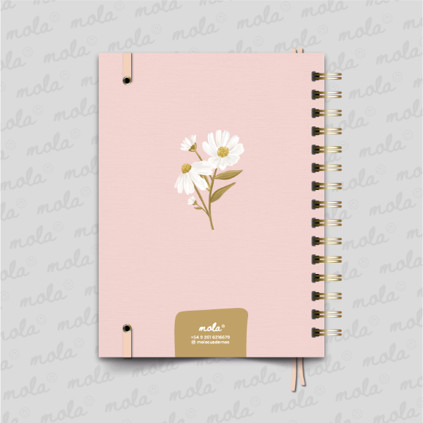 Producto - Agenda 2027 - Cod006 - 1