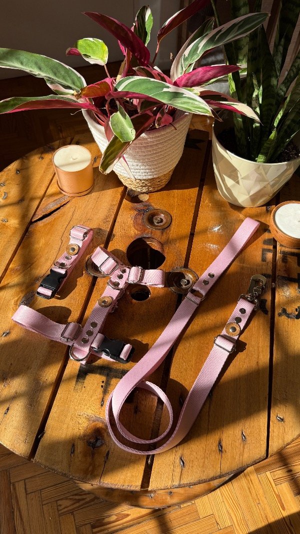 Producto - Combo Rosé