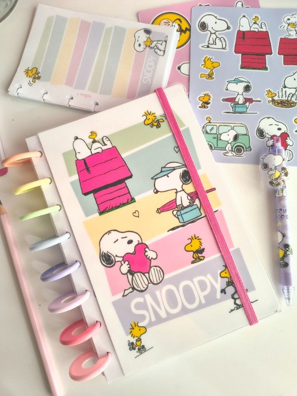 Producto - Reserva - Box Snoopy Pastel - Cuaderno discos - 1
