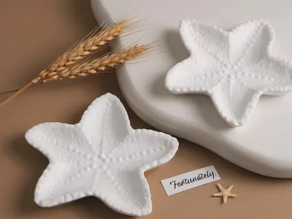 Producto - Molde silicona bandeja jabonera estrella de mar