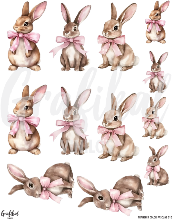 Producto - Transfer Color Pascuas 010