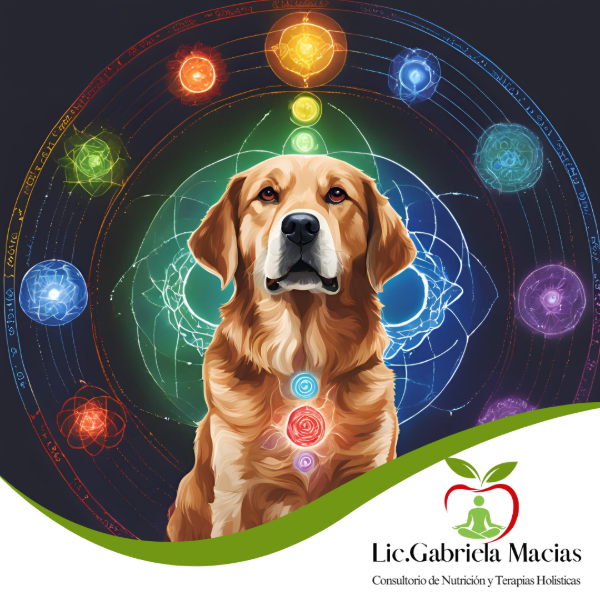 Producto - Sesión de Limpieza y armonización de Mascotas