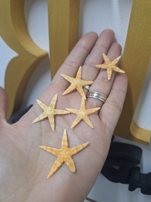 Producto - Estrellas de mar reales secas x unidad