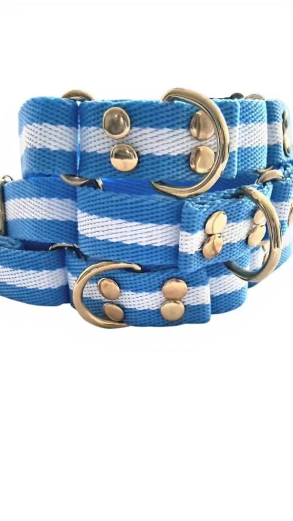 Producto - Collar de ARGENTINA