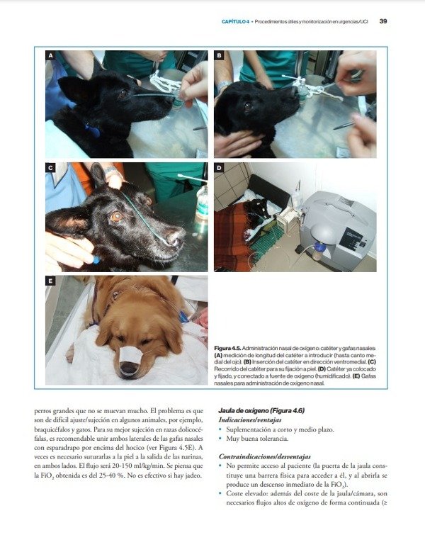 Producto - Fragío: Manual de Urgencias en Pequeños Animales, 2da - 6